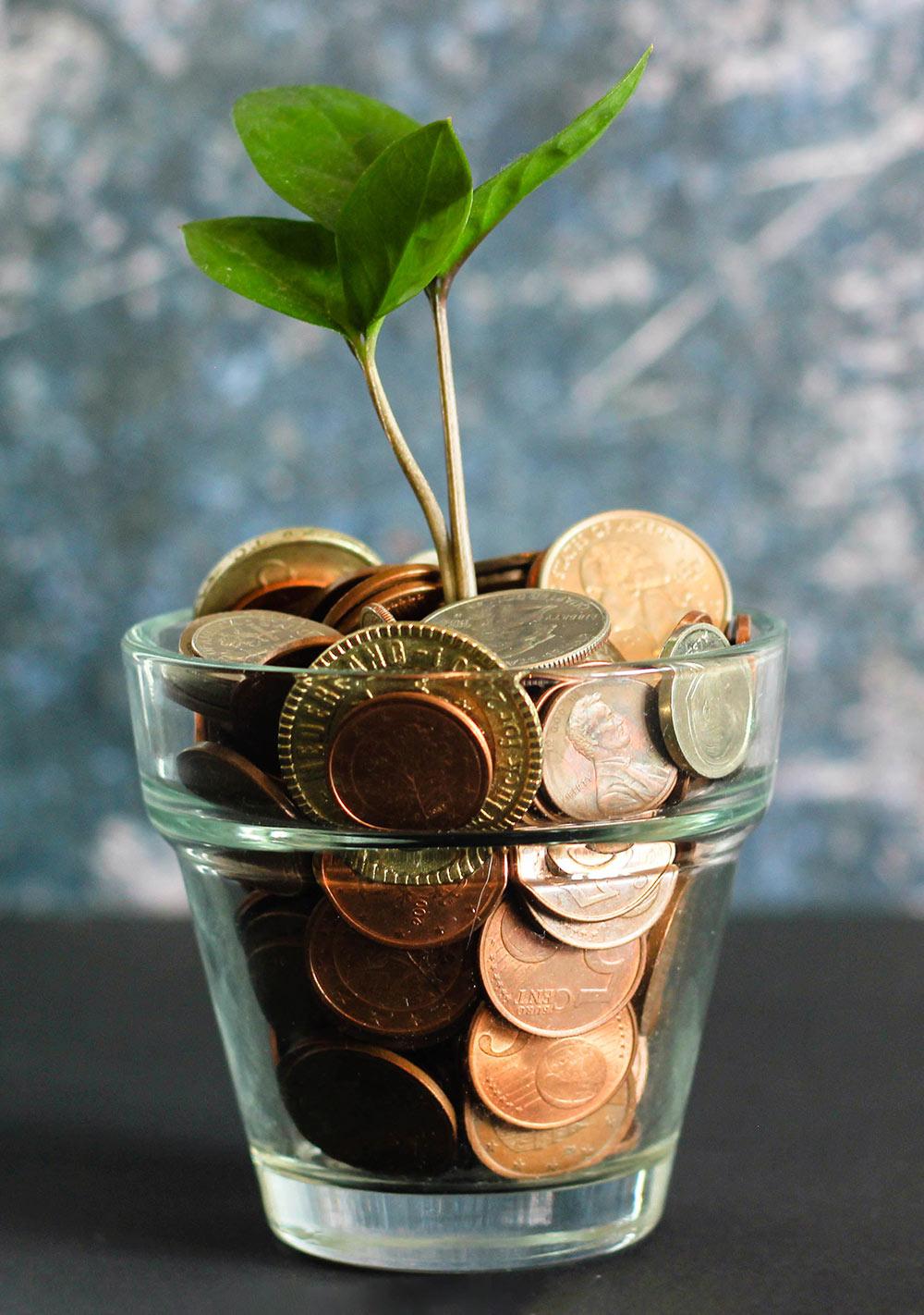 Plant Growing In Coins Glass